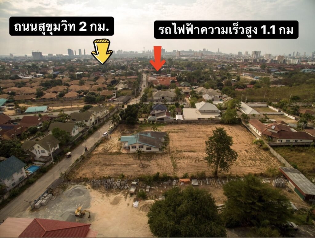 S__38969390