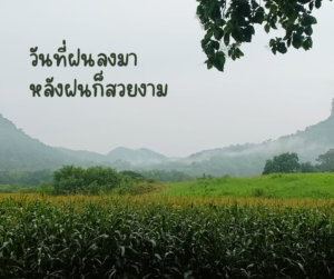 วันที่ฝนลงมา หลังฝนก็สวยงาม