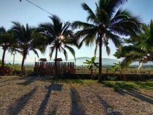 รีสอร์ทลำพูน6