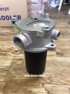 118269249_1254810484855667_1440648740039248246_n