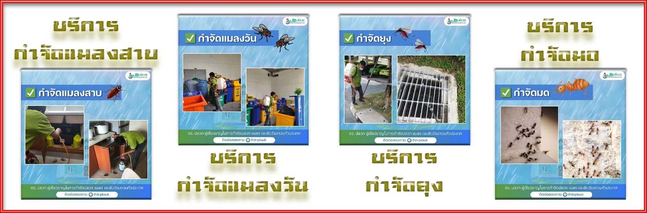 Banner-Dr-AdsyourBiz-1-4