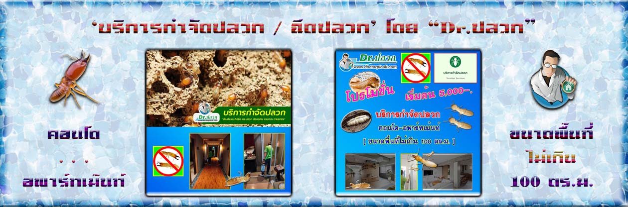 Banner-Dr-AdsyourBiz-10-1