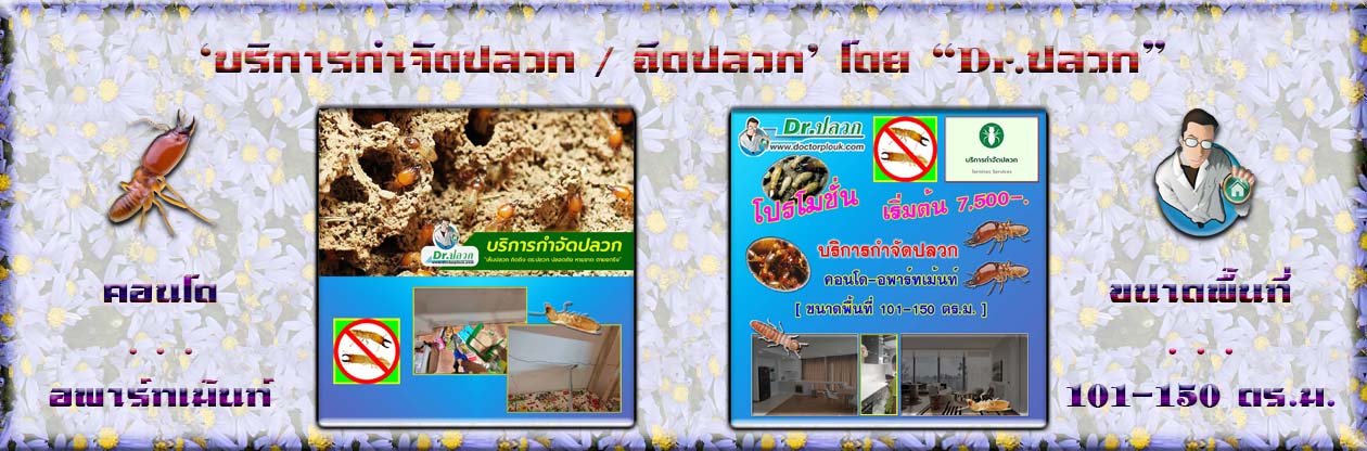 Banner-Dr-AdsyourBiz-11-1