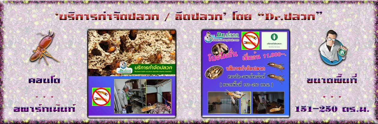 Banner-Dr-AdsyourBiz-12-1