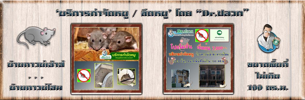 Banner-Dr-AdsyourBiz-14-1