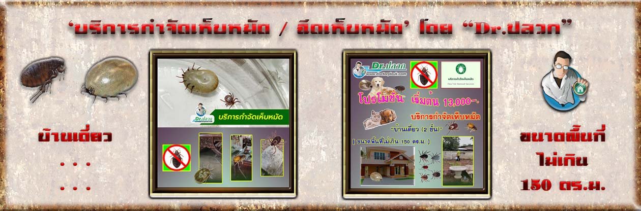 Banner-Dr-AdsyourBiz-17-1