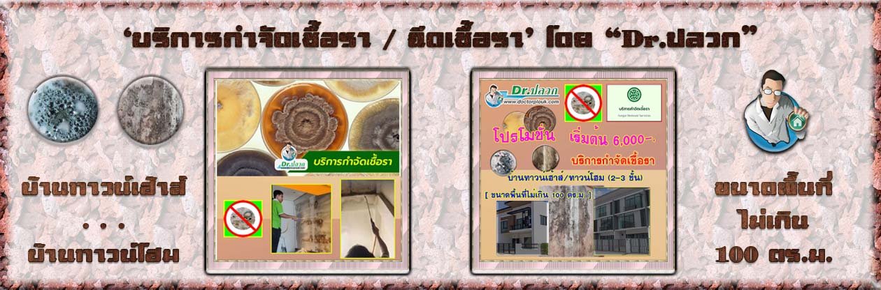 Banner-Dr-AdsyourBiz-18-1