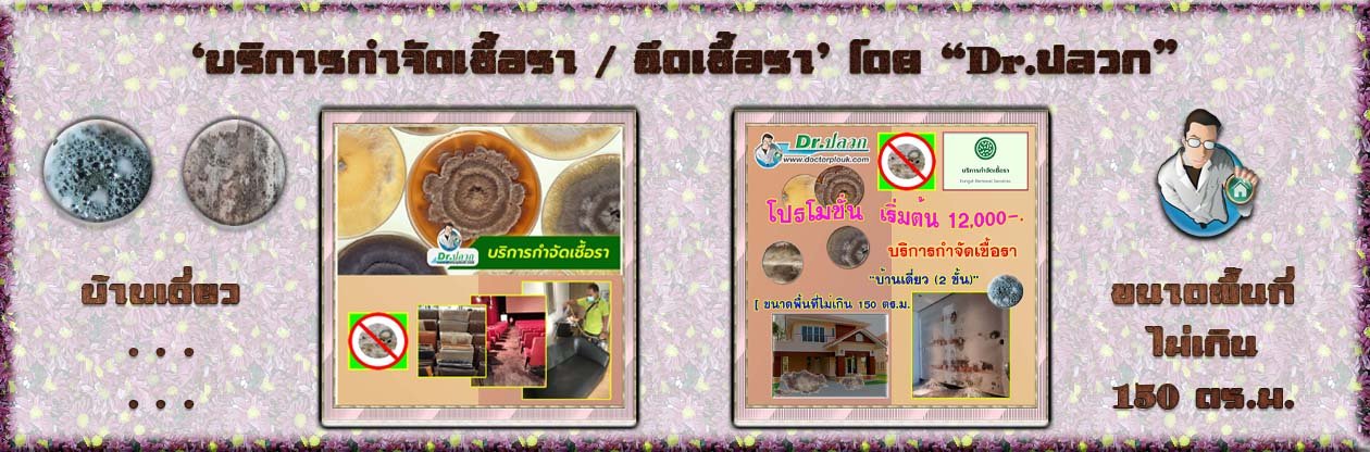 Banner-Dr-AdsyourBiz-19-1