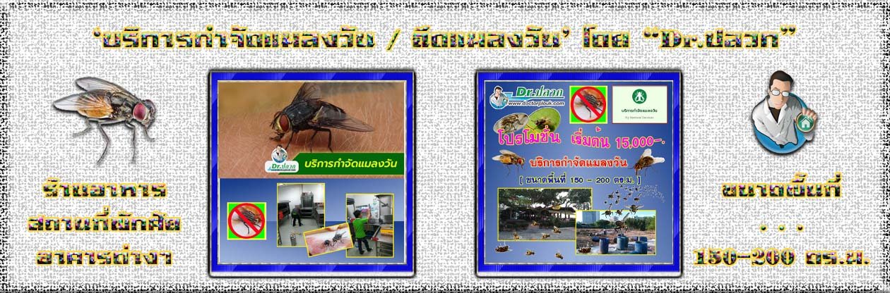 Banner-Dr-AdsyourBiz-21-1