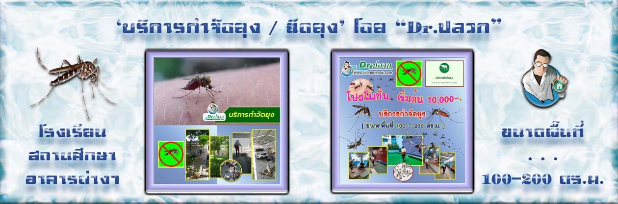 Banner-Dr-AdsyourBiz-22-1