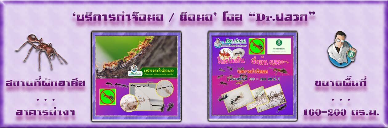 Banner-Dr-AdsyourBiz-23-1