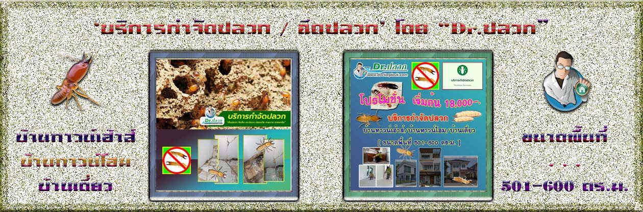 Banner-Dr-AdsyourBiz-7-1