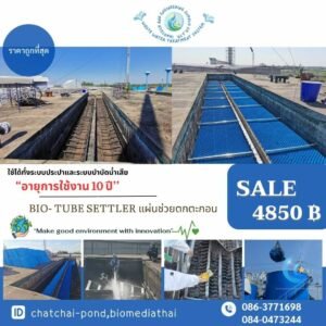 ทิ้วใหม่-121-6