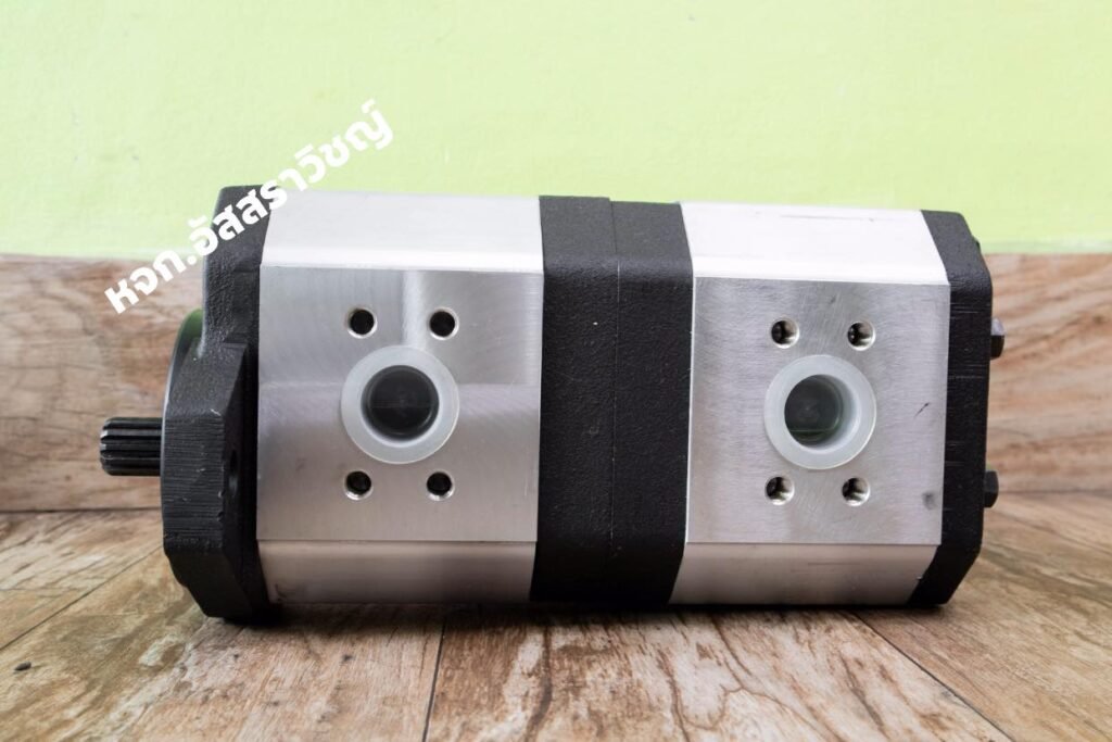 117384741_1245574402445942_5635187699307209763_o