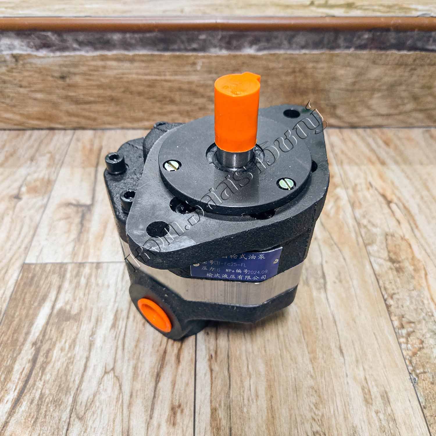 20241021_161625-2-copy