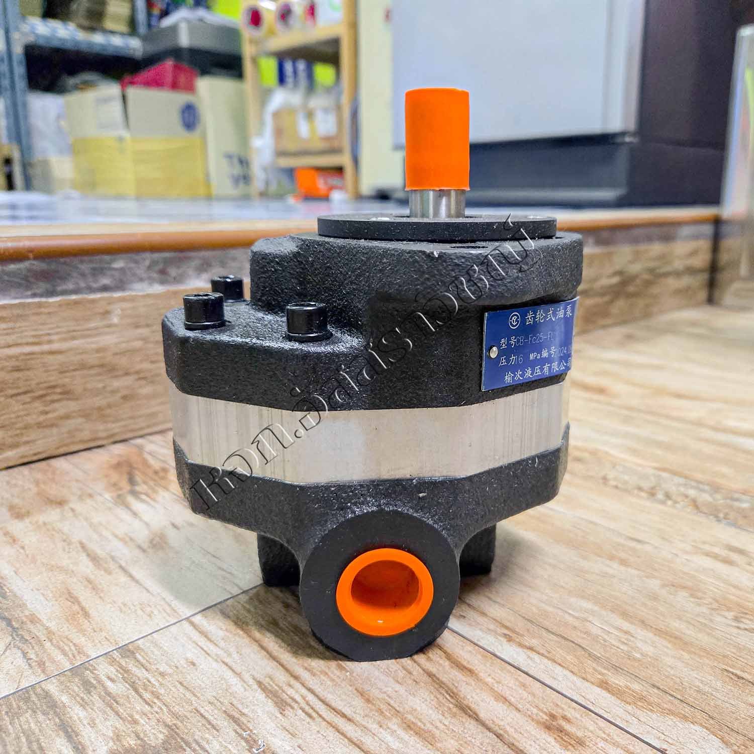 20241021_161638-2-copy