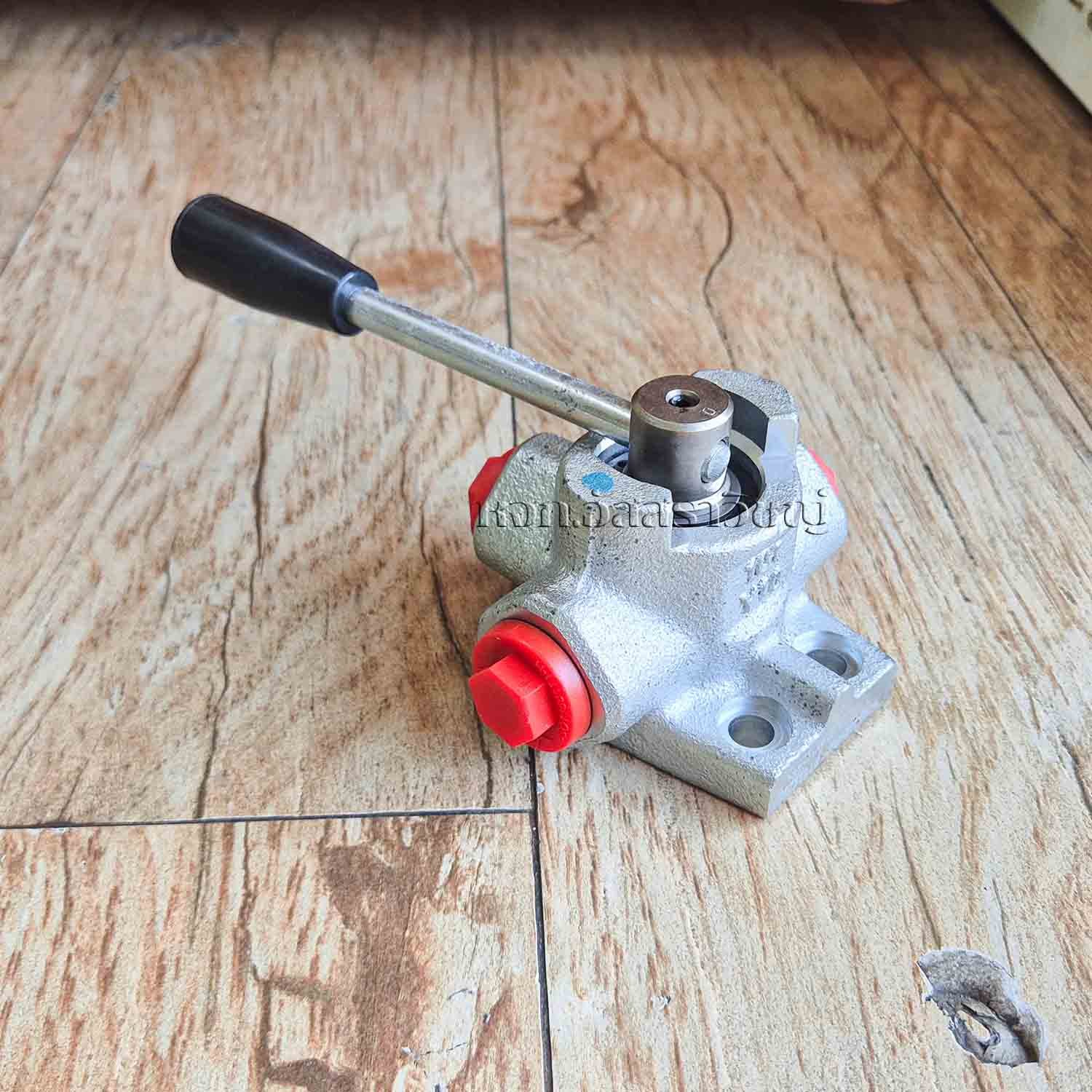 20241206_093630-3-copy