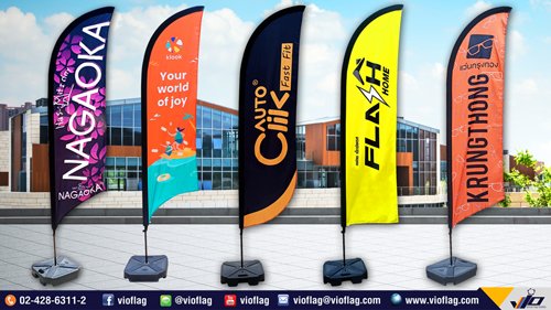 ธงชายหาด-ธงปีกนก