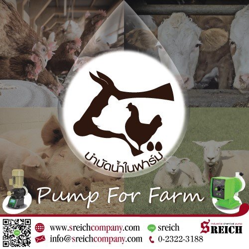 farm-2.2