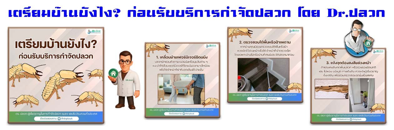 Banner-Dr-AdsyourBiz-28-1