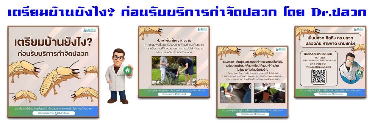 Banner-Dr-AdsyourBiz-28-2