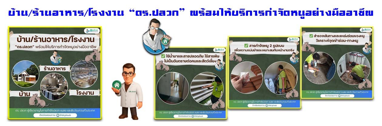 Banner-Dr-AdsyourBiz-29-1