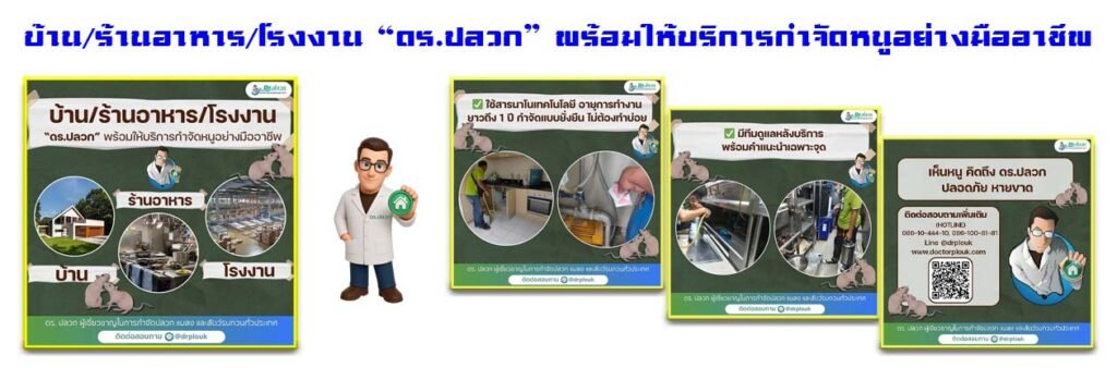 Banner-Dr-AdsyourBiz-29-2