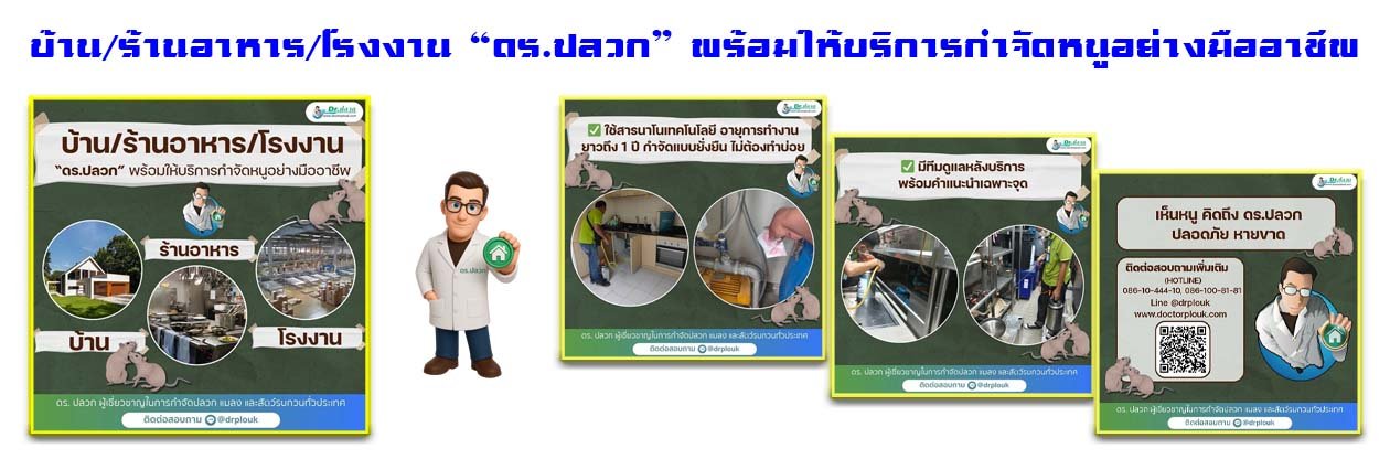 Banner-Dr-AdsyourBiz-29-2