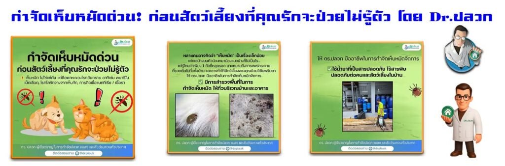 Banner-Dr-AdsyourBiz-30-1