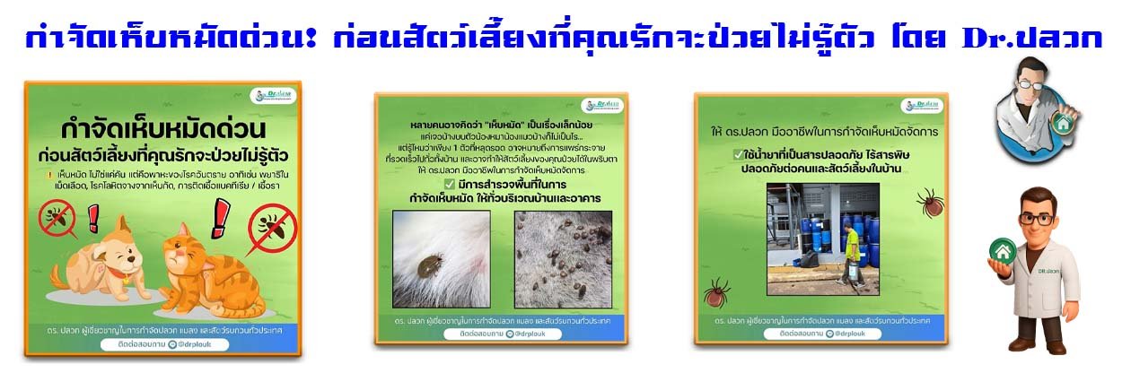 Banner-Dr-AdsyourBiz-30-1