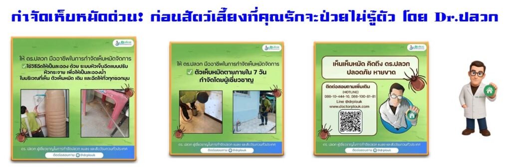 Banner-Dr-AdsyourBiz-30-2