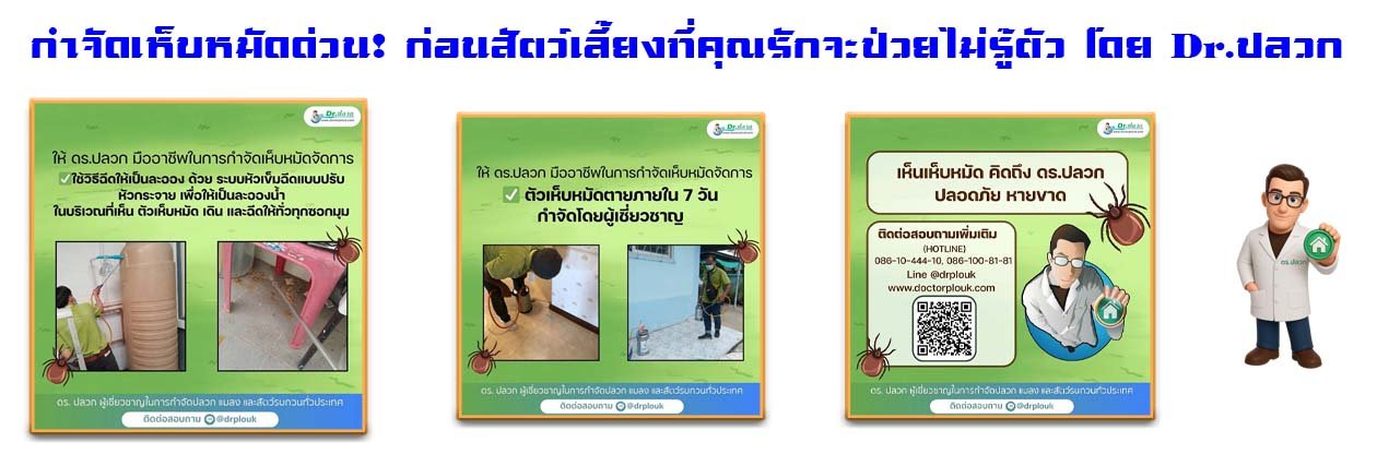 Banner-Dr-AdsyourBiz-30-2