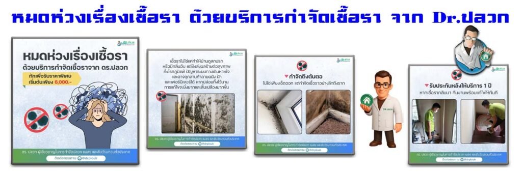 Banner-Dr-AdsyourBiz-31-1