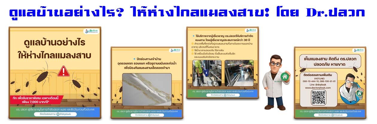 Banner-Dr-AdsyourBiz-32-2