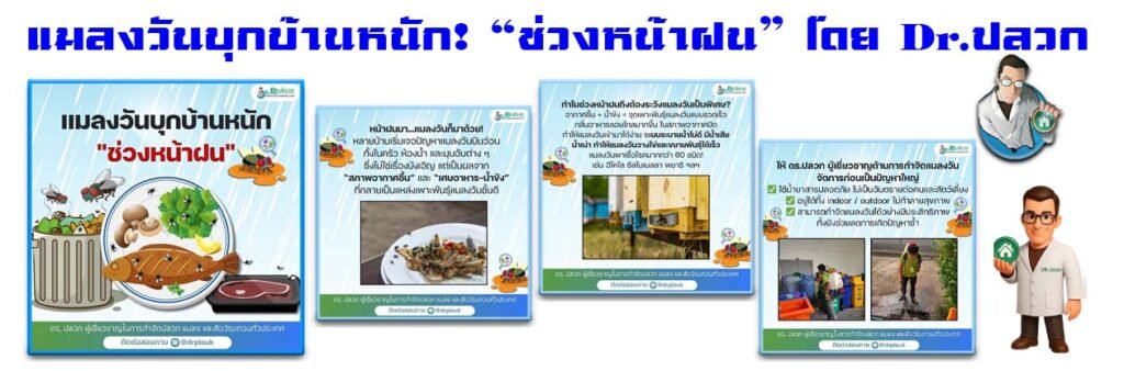 Banner-Dr-AdsyourBiz-33-1