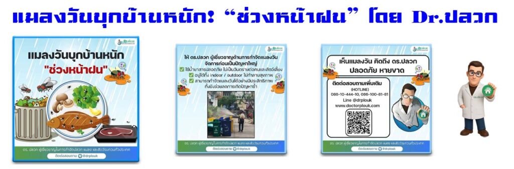 Banner-Dr-AdsyourBiz-33-2