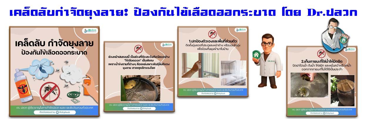 Banner-Dr-AdsyourBiz-34-1