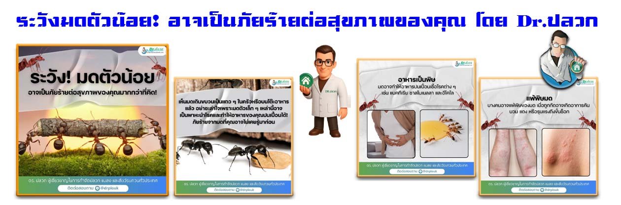 Banner-Dr-AdsyourBiz-35-1