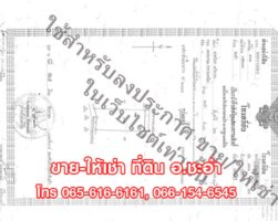 Details Image